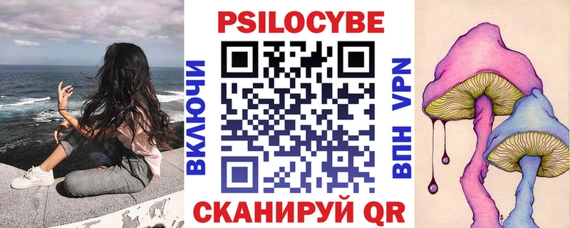 Купить где  Братск  Галлюциногенные грибы Psilocybine cubensis 