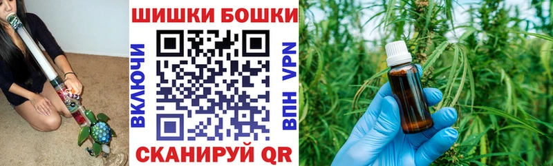 Бошки Шишки гибрид  Купить закладки  Братск 
